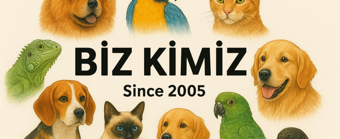 Biz Kimiz ?