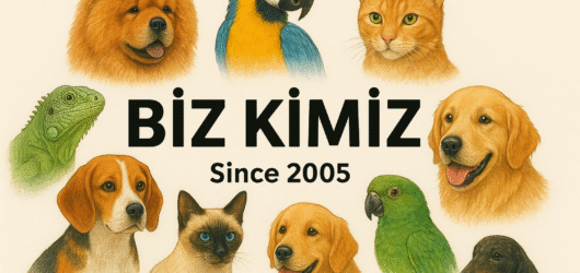 Biz Kimiz ?