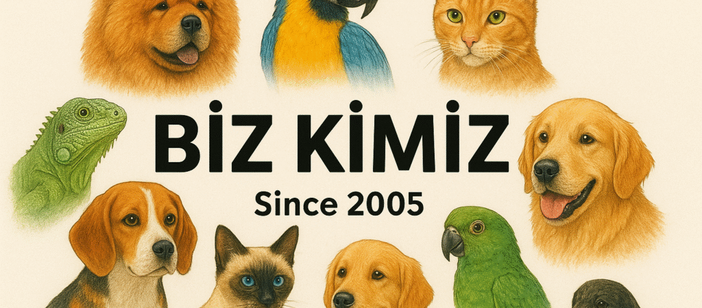 Başlıksız yazı 6