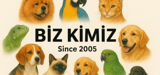 Başlıksız yazı 6
